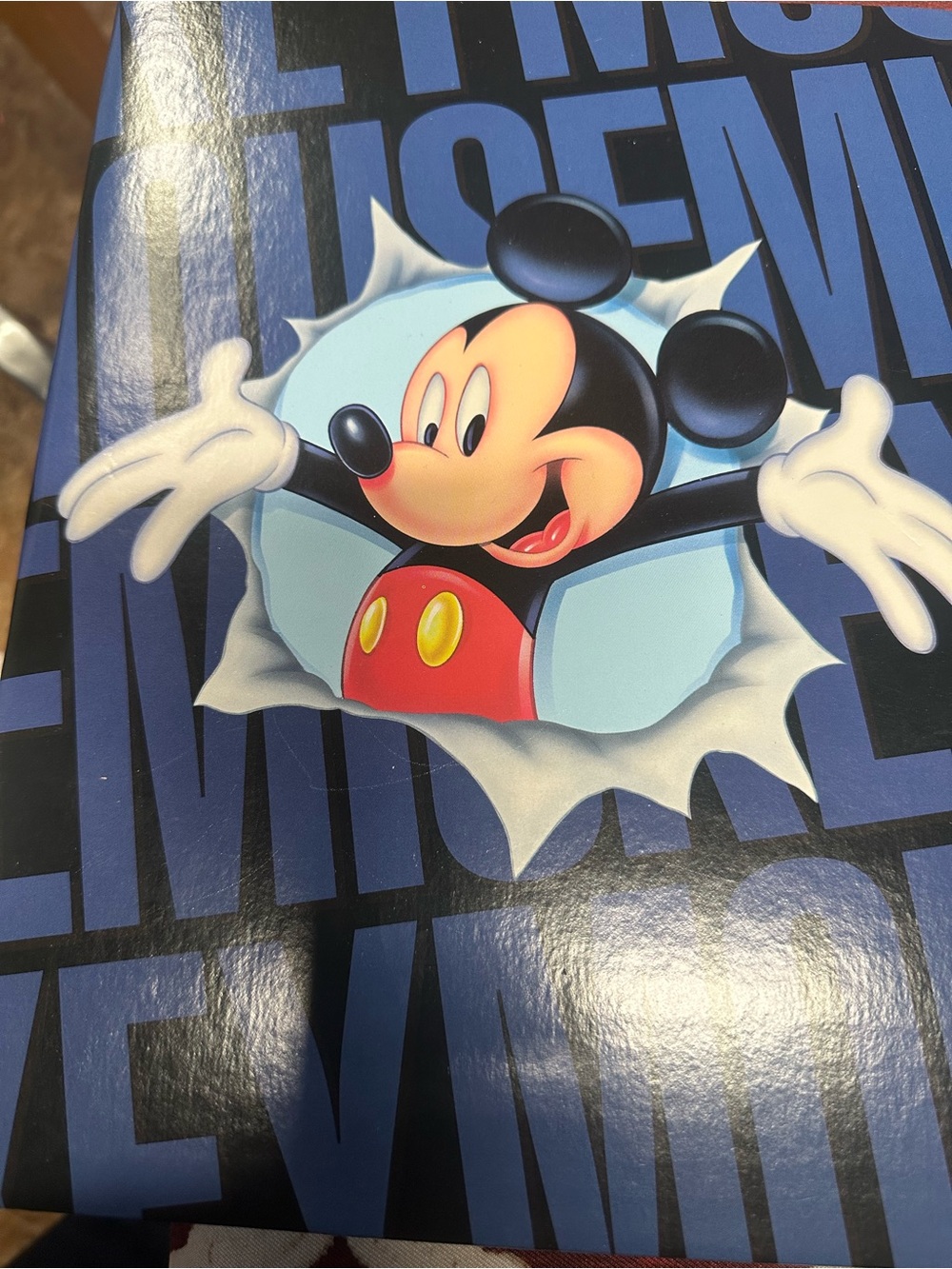Disney Mickey Mouse Brand New Storage /Organizer Twin Pack for 400 photos